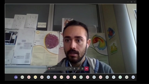 Thumbnail for Sebastian Grijalva