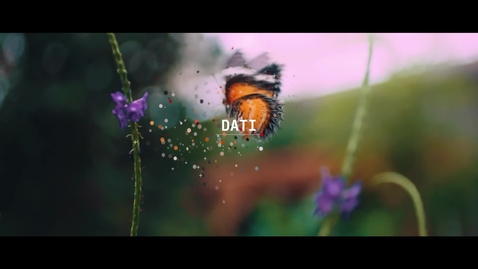 Thumbnail for LeonardoCompany 